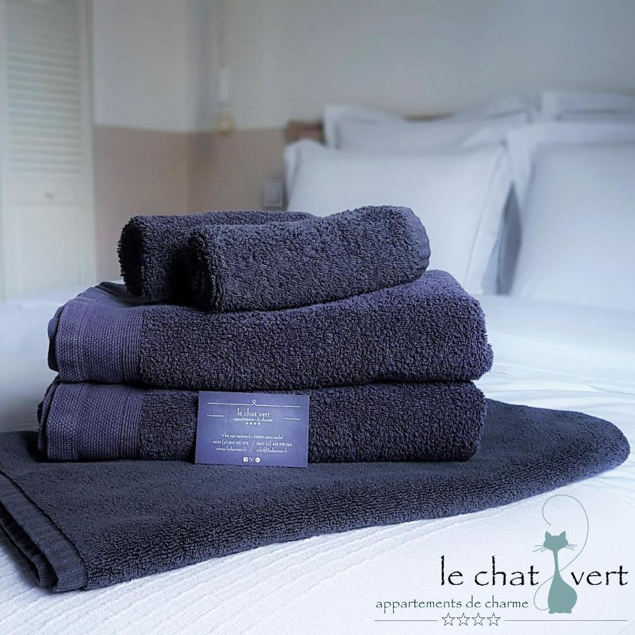 Le Chat Vert - Appartements Adults Only Saint-André Extérieur photo